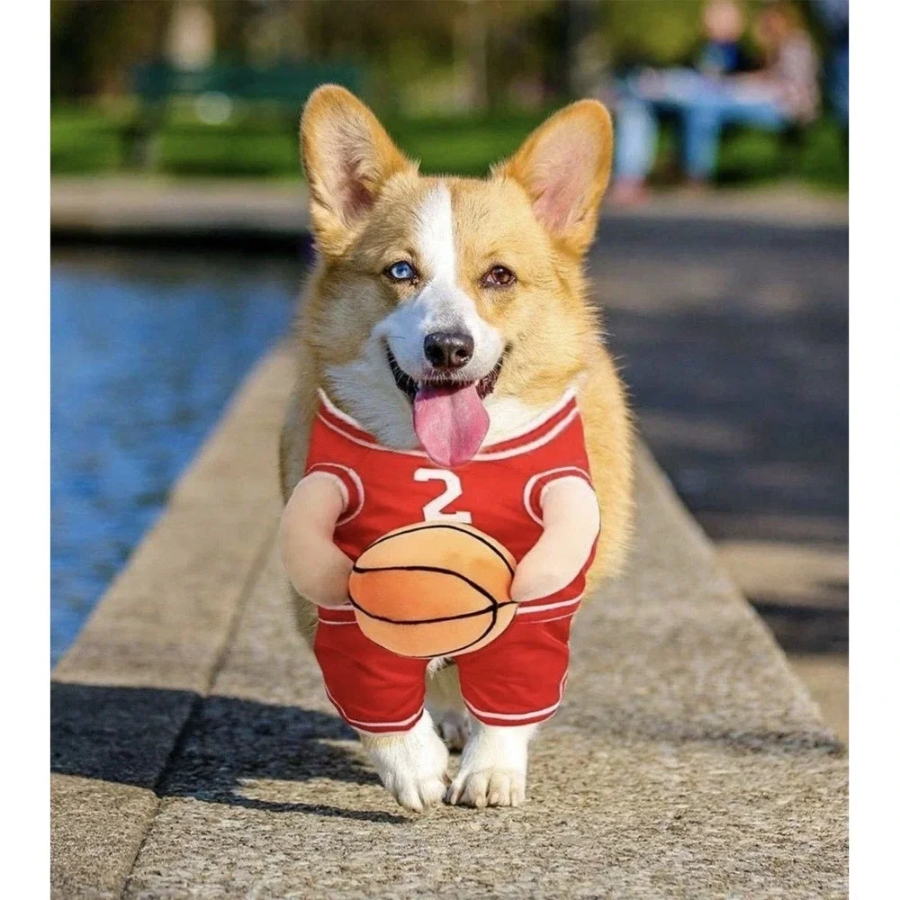 Dog Basketball Player Costume – Funny Sports Outfit for Pets Size Small